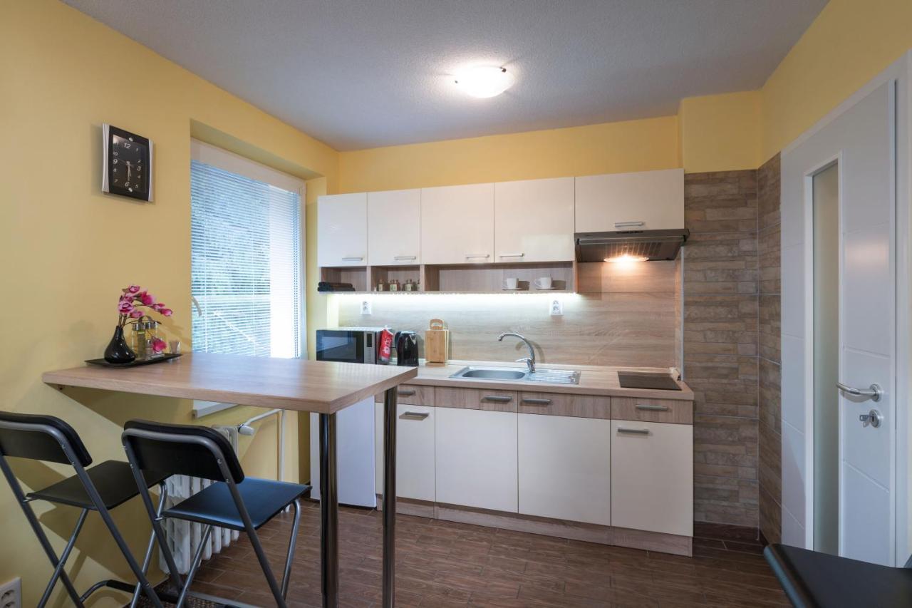 Apartament Jasna 96 III Dolina Demianowska Zewnętrze zdjęcie