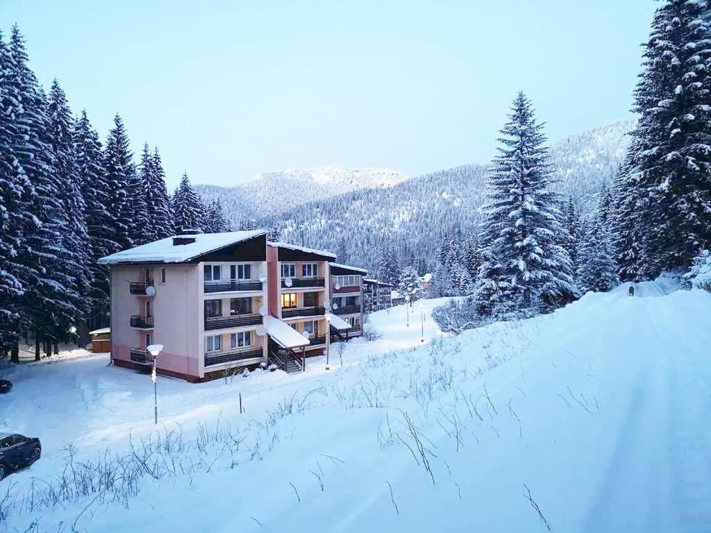 Apartament Jasna 96 III Dolina Demianowska Zewnętrze zdjęcie